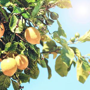 教练在泳池下添我做爰骚虎视频
